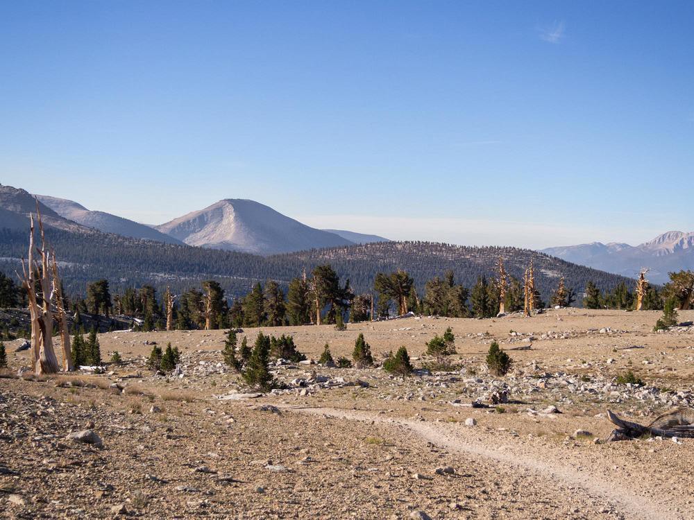 Hochebene auf dem High Sierra Trail bzw. John Muir Trail